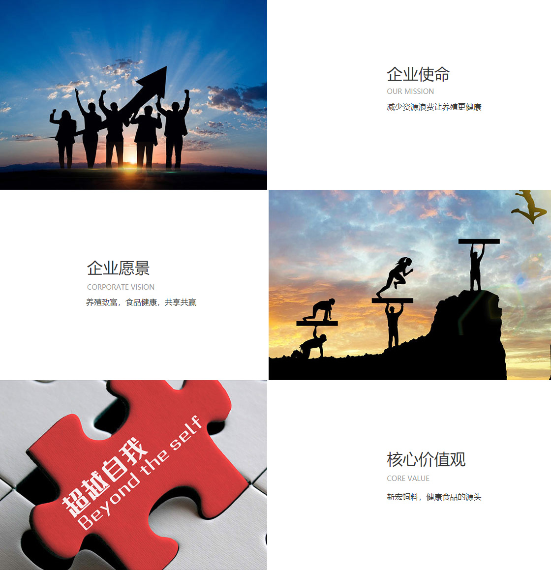 爱游戏官方网站(图1)